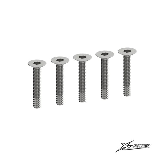 XL20S060 - M2.5*12 Flat head screw